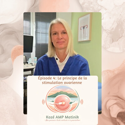 Série 2, épisode 4: Le principe de la stimulation en FIV cover