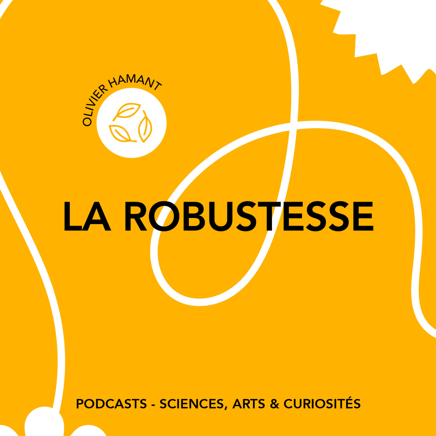 Épisode 125 - La robustesse Épisode 125 - La robustesse