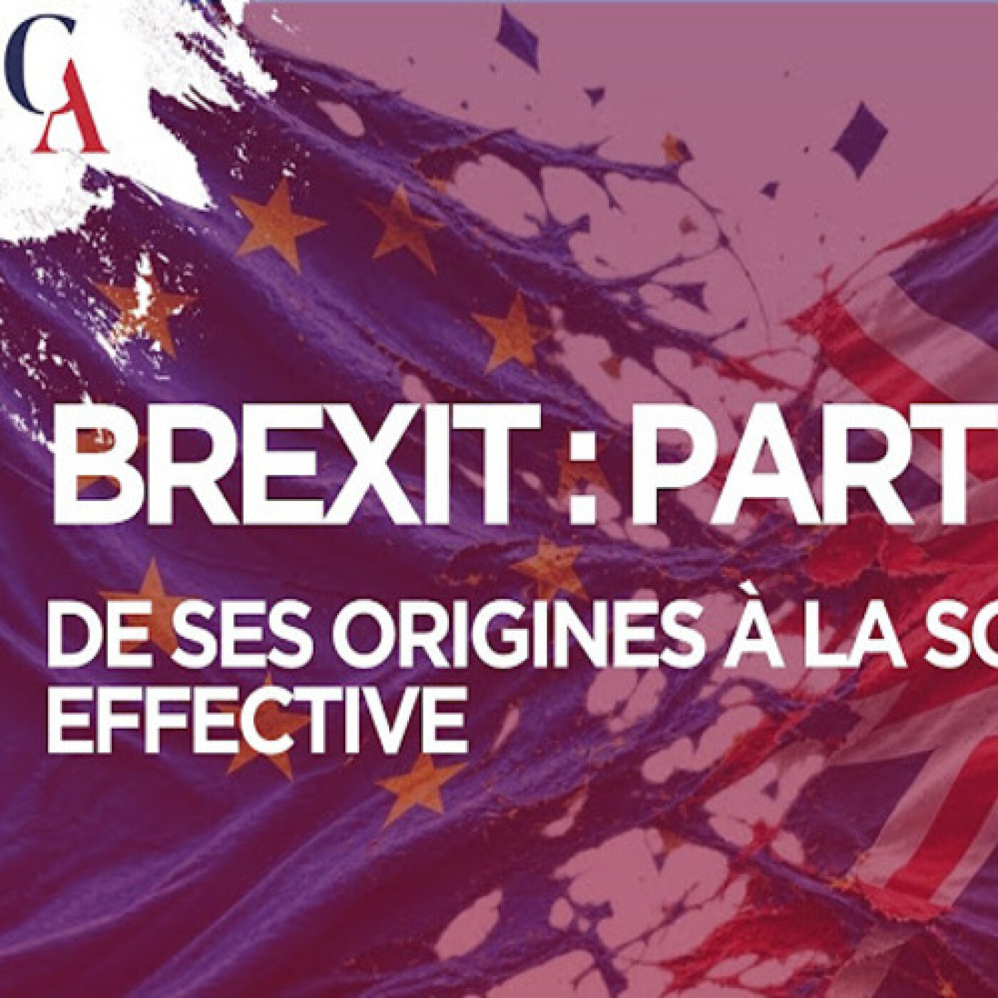 L'Histoire du Brexit au delà des mensonges - J.M. Salmon & P.Y. Rougeyron - # politique