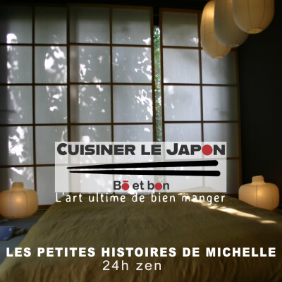 LES PETITES HISTOIRES DE MICHELLE - 24h zen cover