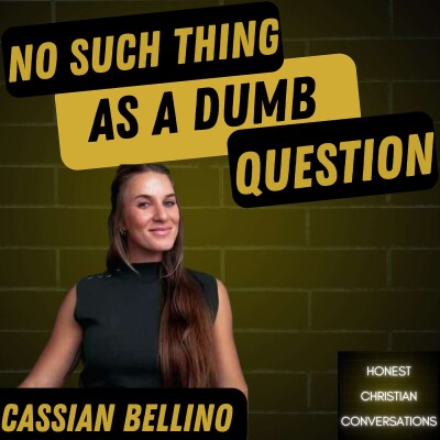 No Such Thing As A Dumb Question cover