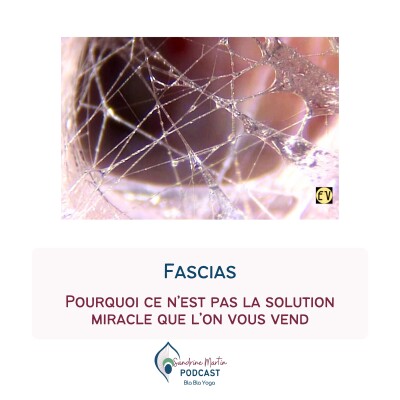 184. Fascias : pourquoi ce n'est pas la solution miracle qu'on vous vend cover