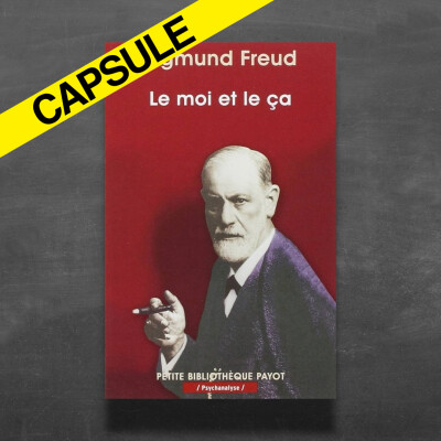 [CAPSULE] 💡 Freud : "Nous sommes tous des hors-la-loi" cover