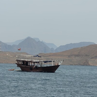 Décryptages (extrait) - François Janne d’Othée : « J'ai dansé sur le détroit d'Ormuz » cover