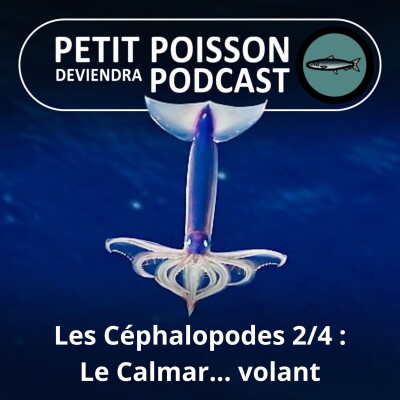Show cover