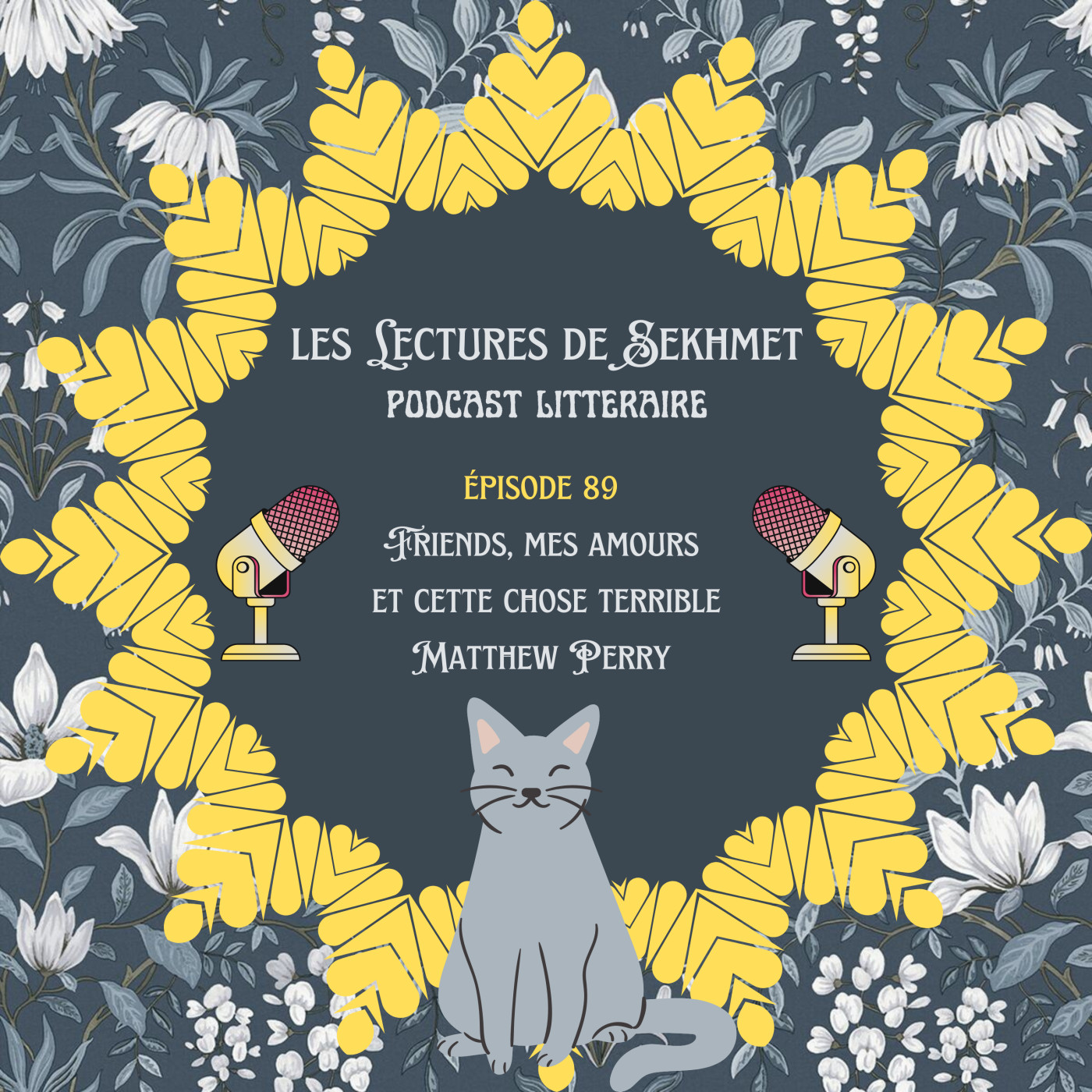 N°89 Friends, mes amours et cette chose terrible de Matthew Perry episode artwork