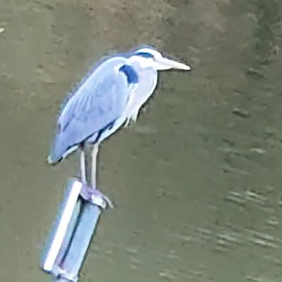 S'extraire pour observer, analyser une situation et améliorer votre vie cover