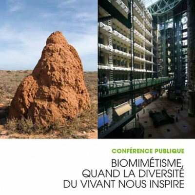 Biomimétisme, quand la diversité du vivant nous inspire cover
