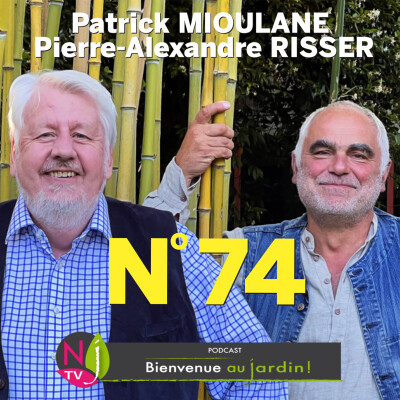 EMISSION #74 du 29 Octobre 2022 - L'INTEGRALE cover