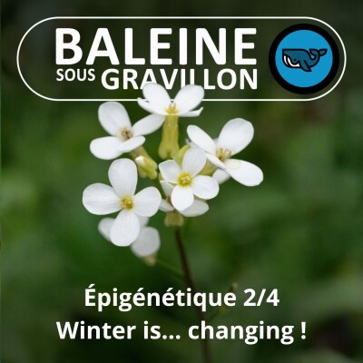 S07E160 Épigénétique, quand le milieu modifie l'expression des gènes 2/4 cover