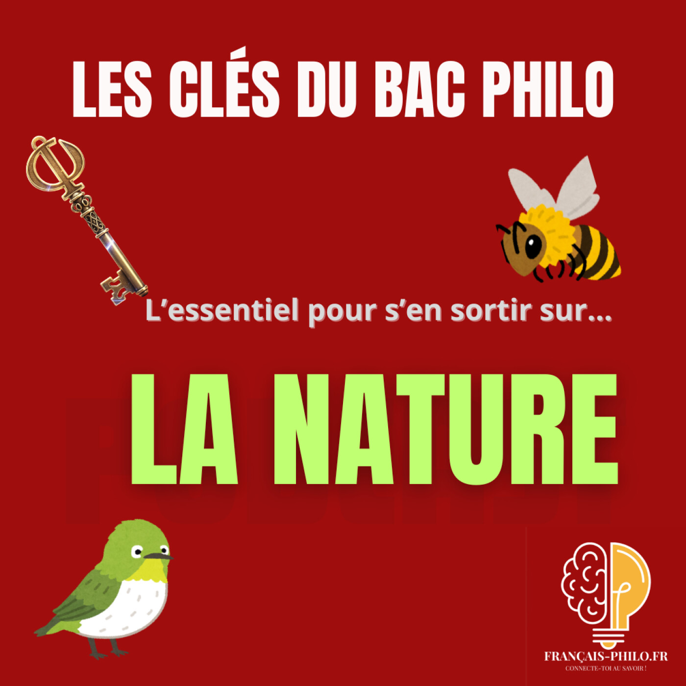 Les clés du bac philo ! LA NATURE  (en 8 minutes chrono !)