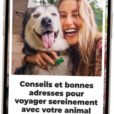 Animaux et vacances : les solutions faciles cover