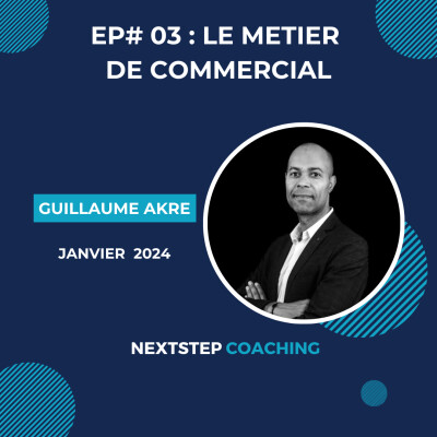 Le métier de commercial itinérant cover