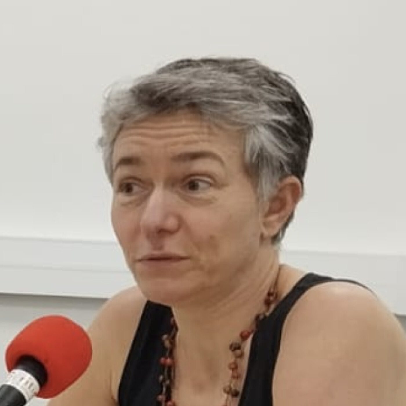 Quel animal est le plus grand tueur d'êtres humains ? Stéphanie Blandin répond episode artwork