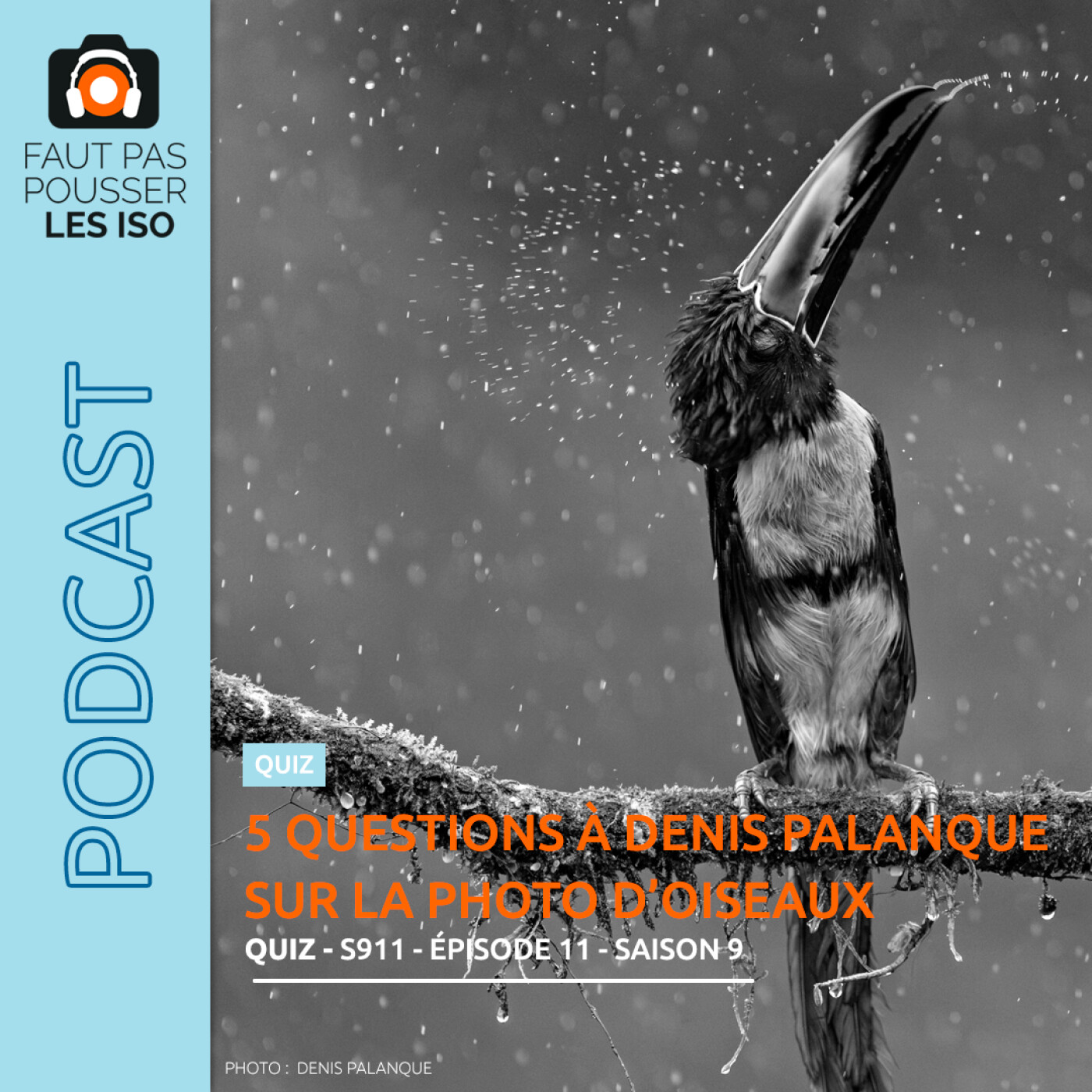 LE QUIZ - S911 - 5 QUESTIONS À DENIS PALANQUE