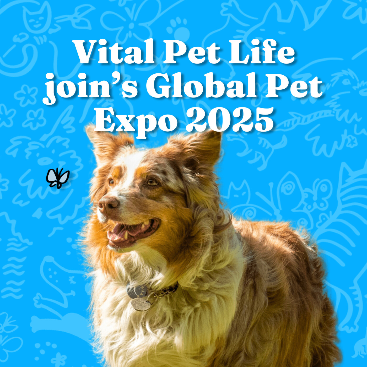 Vital Pet Life join`s Global Pet Expo 2025 episode artwork