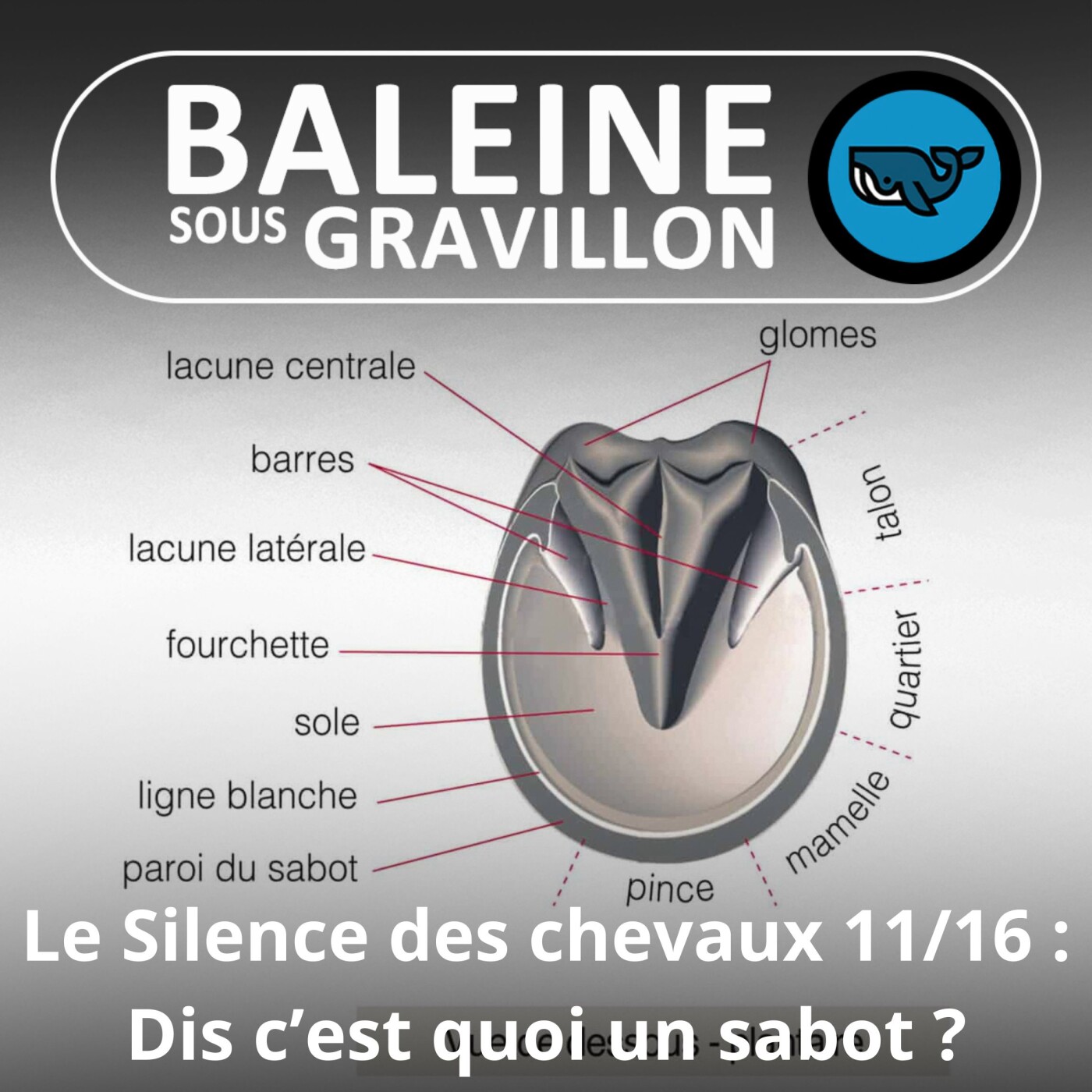 S06E45 Le Silence des chevaux 11/16 : Des pieds tordus des chinoises aux hallux valgus des danseuses