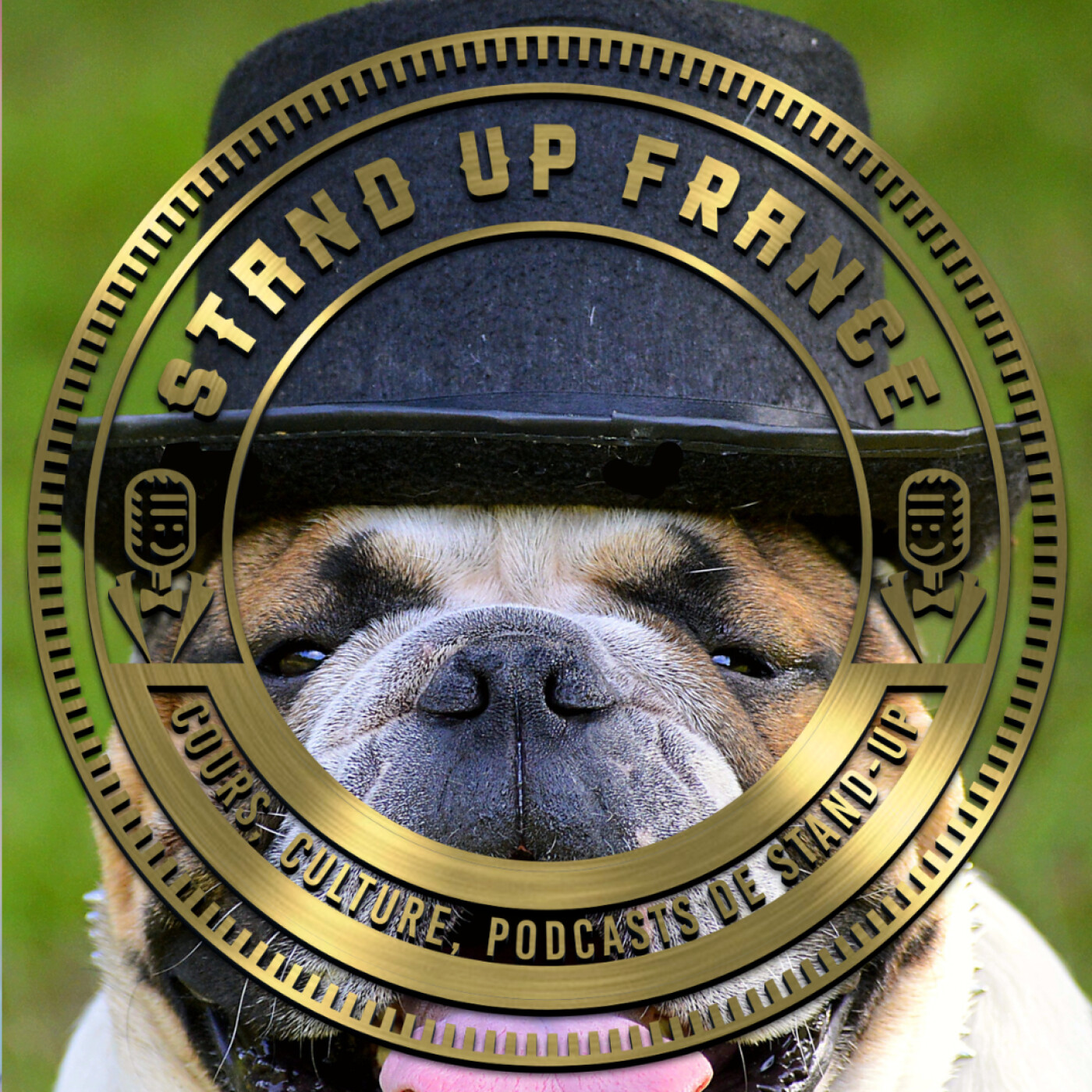 Stand Up France - Le Podcast