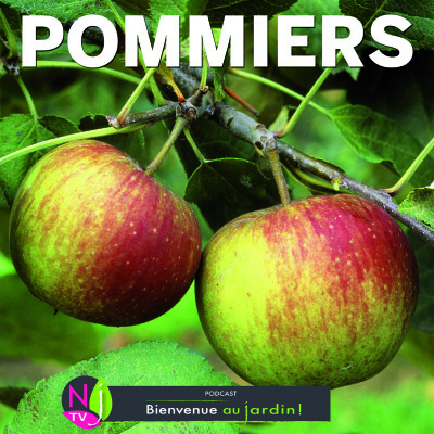 LE DOSSIER: POMMES ET POMMIERS cover
