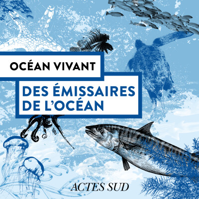 Des émissaires de l'océan - Océan Vivant - Épisode 5/6 cover