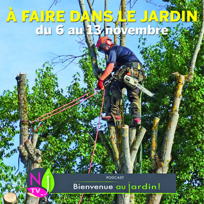 QUE FAUT-IL FAIRE DANS LE JARDIN DU 6 AU 13 NOVEMBRE ? cover