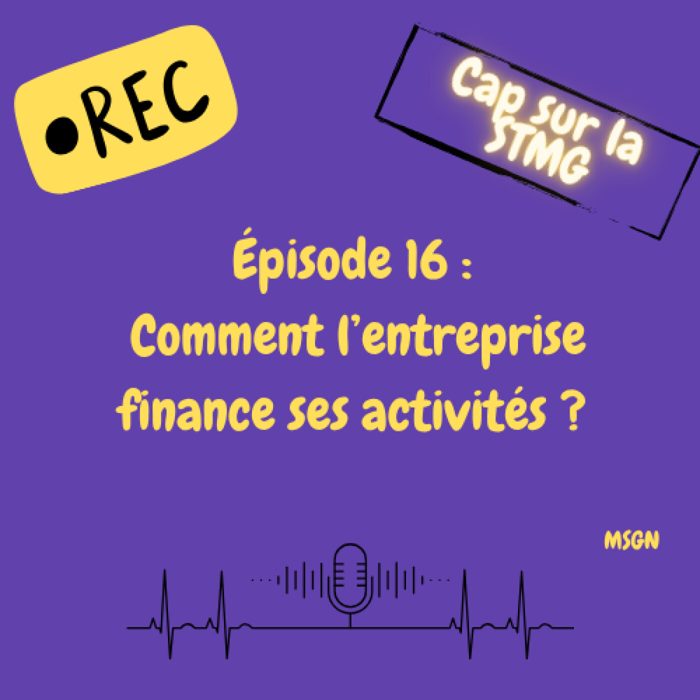 Episode 16 - Comment l'entreprise finance ses activités ?