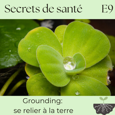 Grounding : se relier à la Terre pour restaurer l’équilibre du corps et du vivant - S7E9 cover