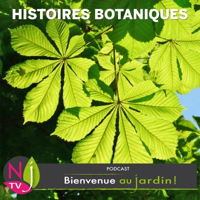 PETITE ET GRANDE HISTOIRE: cover