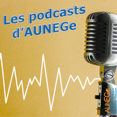 Podcast N°8 : Série Grands Auteurs - Jean-Max Noyer et la théorie du plissement numérique du monde cover
