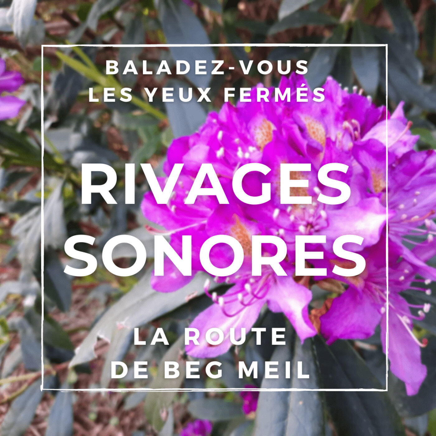 La route de Beg Meil