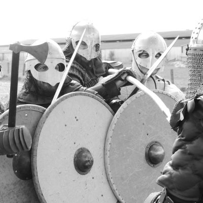 # DYNAMYK - Fête Médiévale - Loups du Mesnil cover