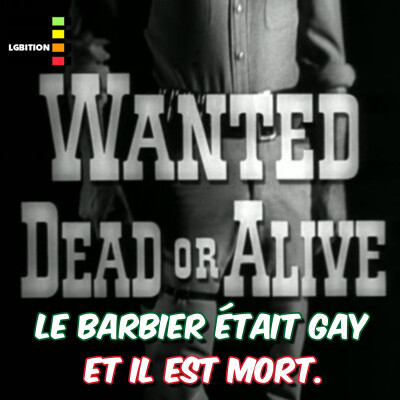 Au nom de la loi - 1960 : Le témoin était gay et invisible cover