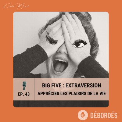 43. Big Five - Dimension 2/5 : Extraversion - Apprécier les plaisirs de la vie | Thématique #7 cover