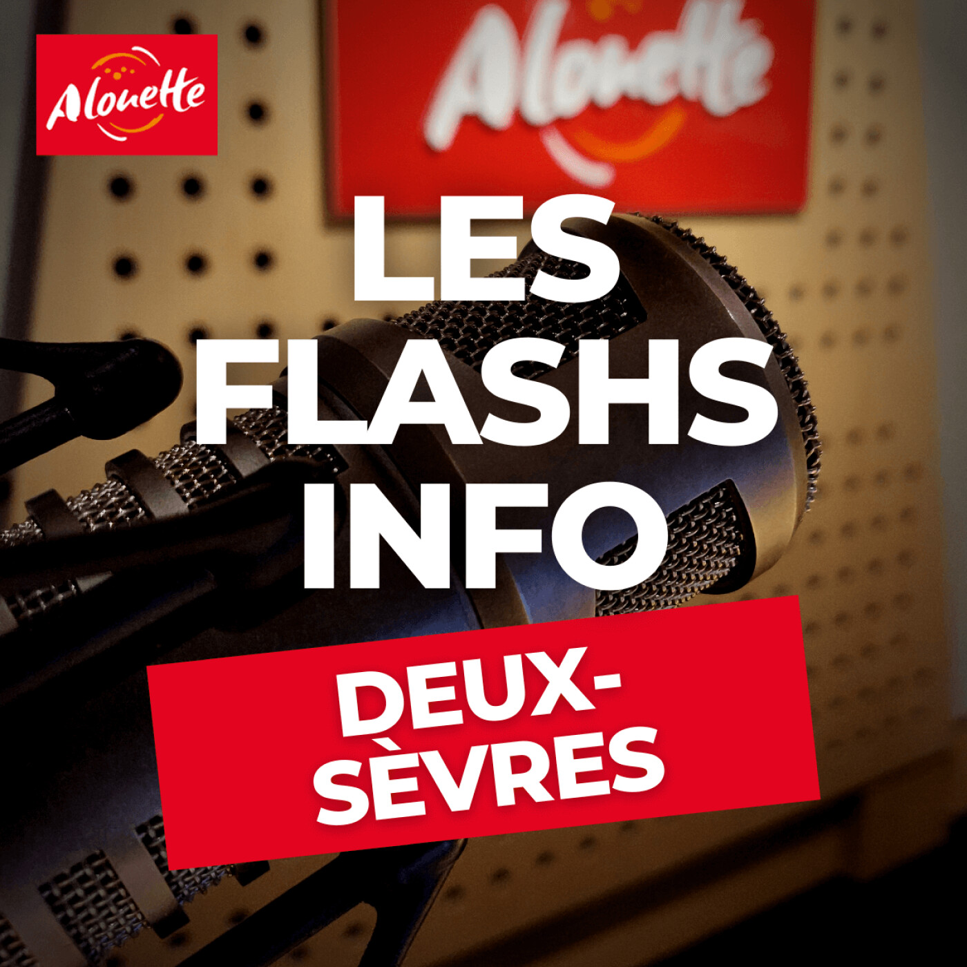 Alouette - Les Infos du 24 Avril 18h30 en Deux-Sèvres.