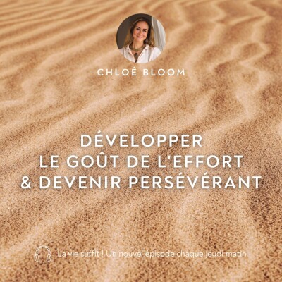 Développer le goût de l'effort & devenir persévérant cover
