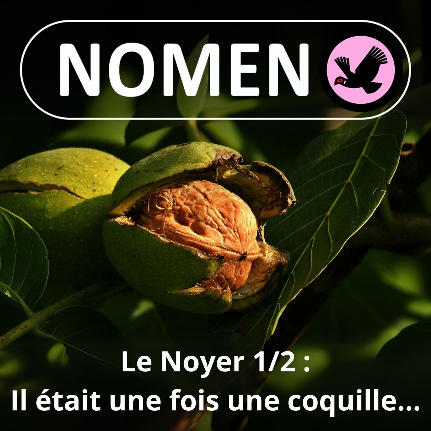 Nomen
