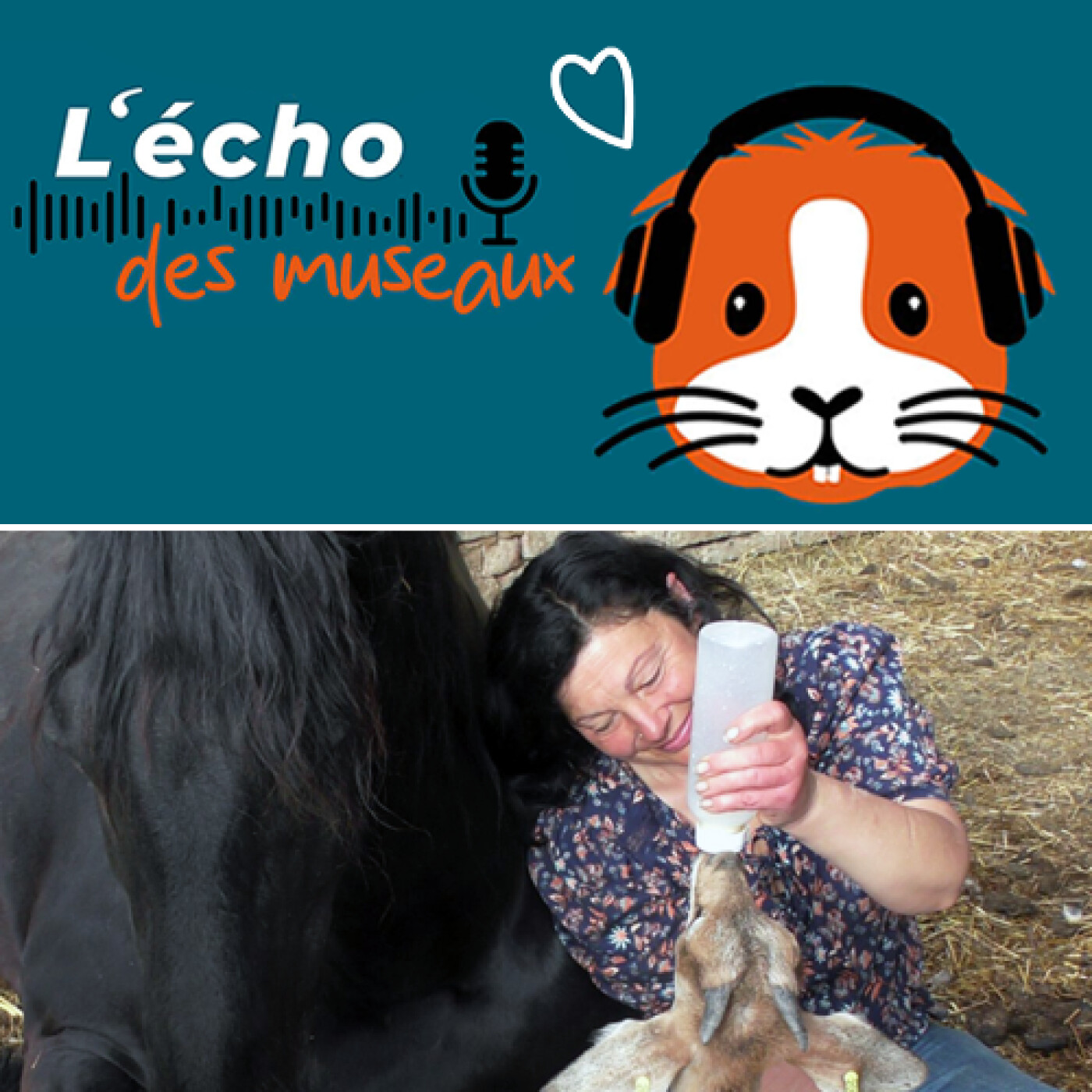 L\'écho des museaux