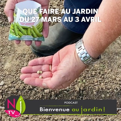 QUE FAIRE AU JARDIN DU 27 MARS AU 3 AVRIL ? cover