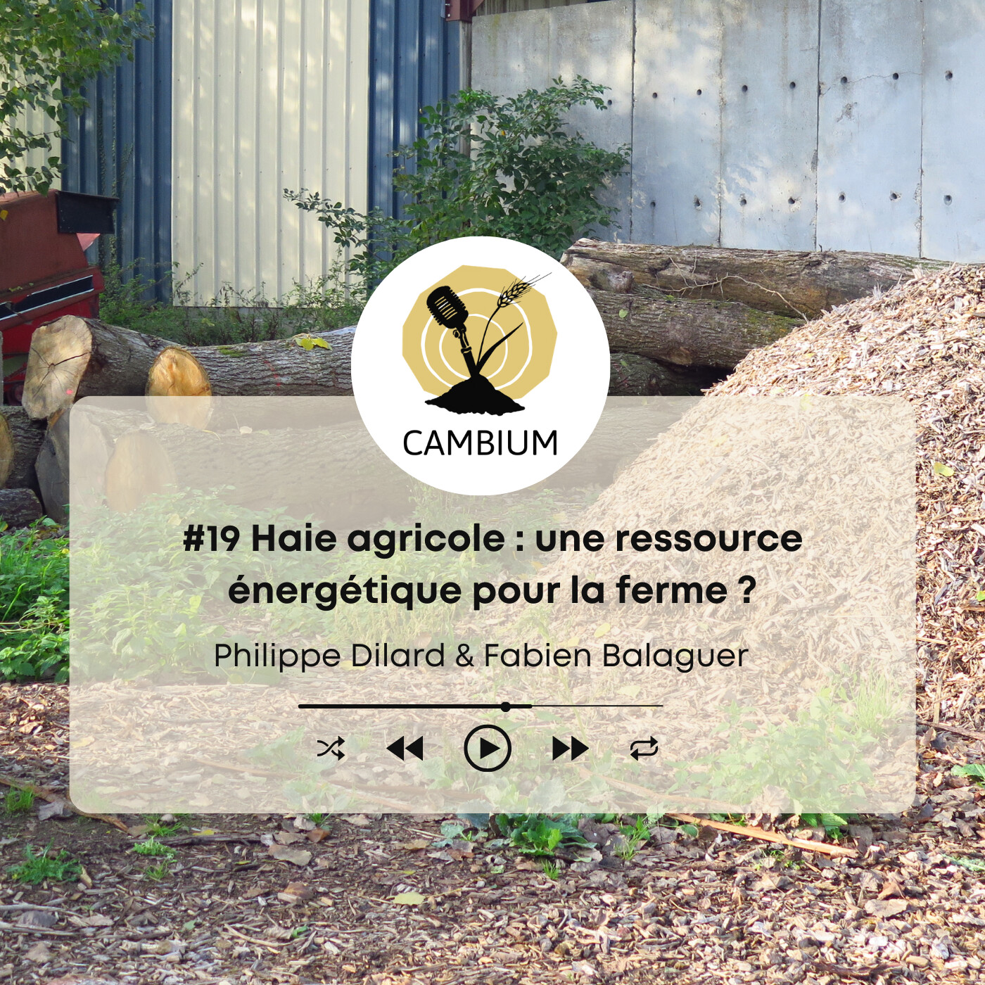 #19 - Haie agricole : une ressource énergétique pour la ferme ? episode artwork