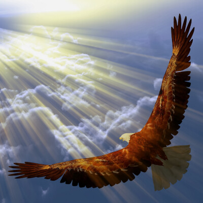 Hypnose Transpersonnelle®325 : Enfant s’occupant de sa mère malade, Adolescent harcelé, Aigle noir cover