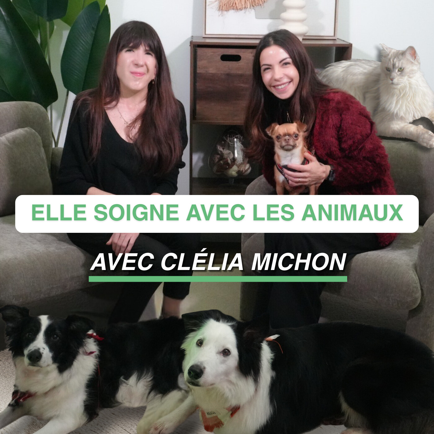 MÉDIATION ANIMALE : COMMENT L’ANIMAL NOUS AIDE-T-IL À NOUS RECONNECTER À NOS ÉMOTIONS ? episode artwork