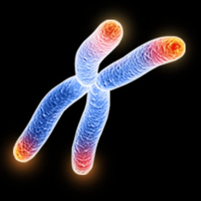 #04_Pollution versus méditation: impacts sur l'ADN cover