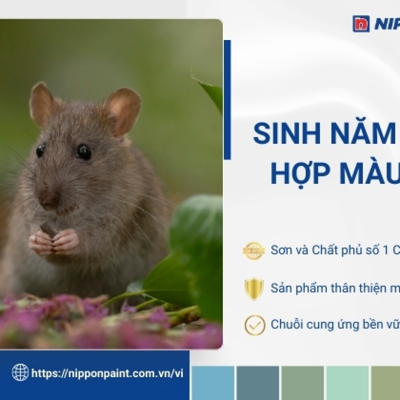 1972 hop mau gi episode artwork