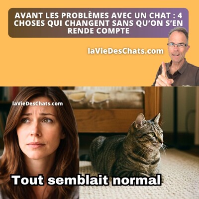 VOIR CE QUI CHANGE CHEZ VOTRE CHAT AVANT LES PROBLÈMES cover