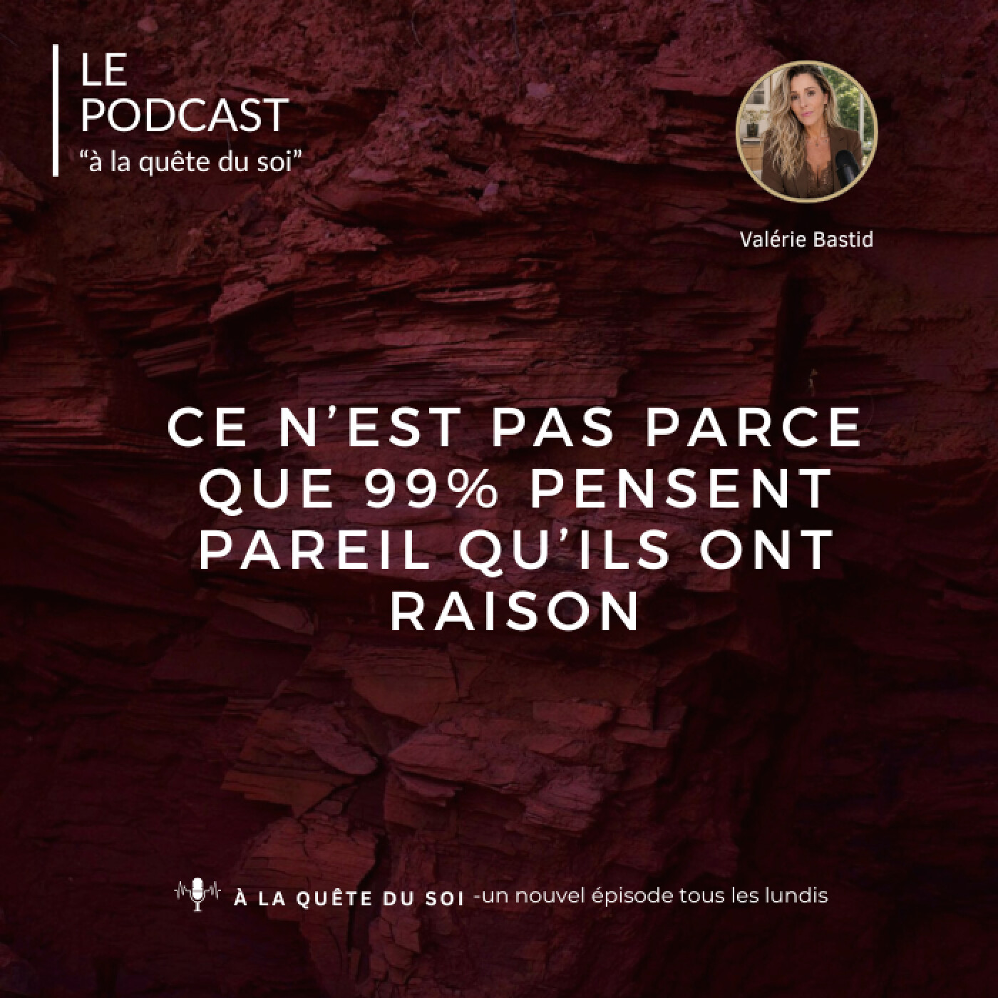 Ce n'est pas parce que 99% pensent pareil qu'ils ont raison episode artwork