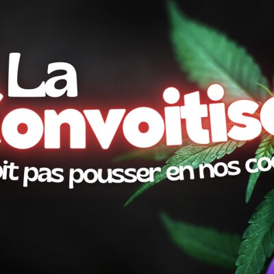 Parole et Évangile du jour | Vendredi 6 mars • Ne cultivez pas la plante du mal cover