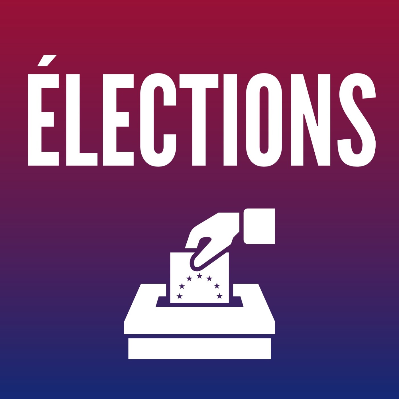 Débat sur les résultats des élections européennes 11/06/2024 episode artwork
