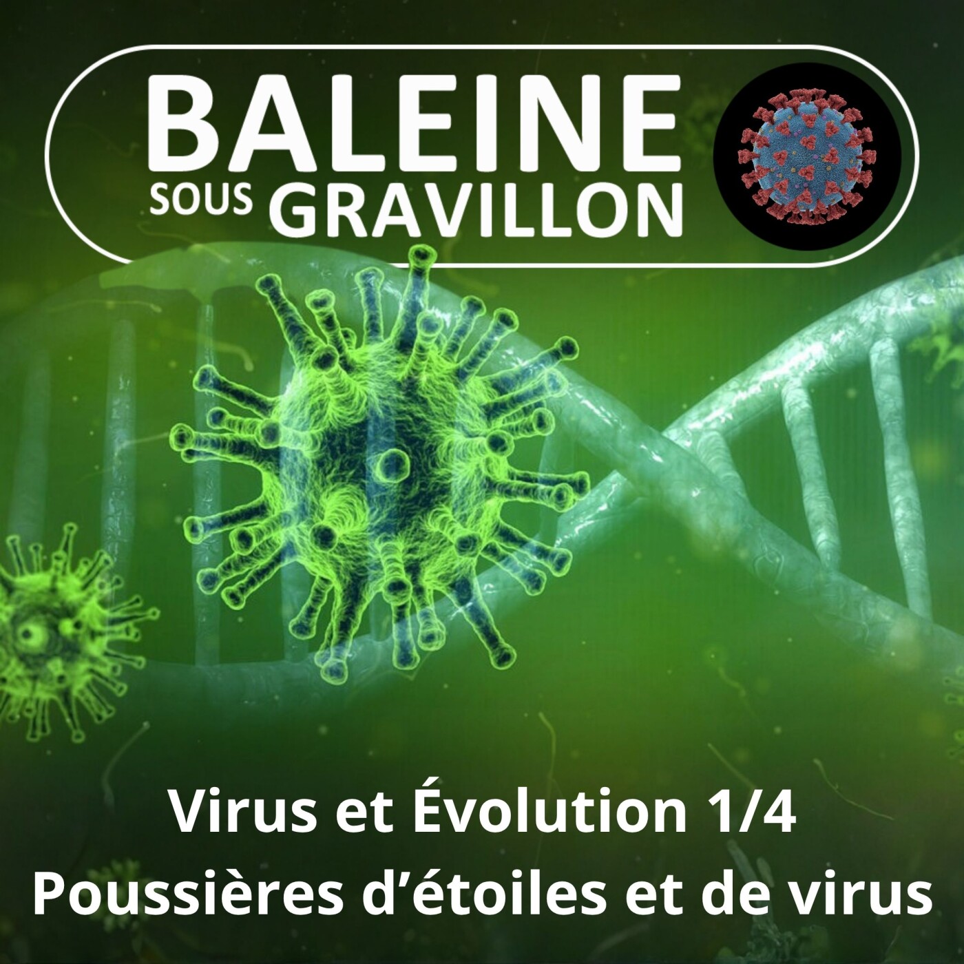 S02E94 Virus et évolution 1/4 : Nous sommes des poussières d'étoiles... et de virus (Samuel Alizon) episode artwork