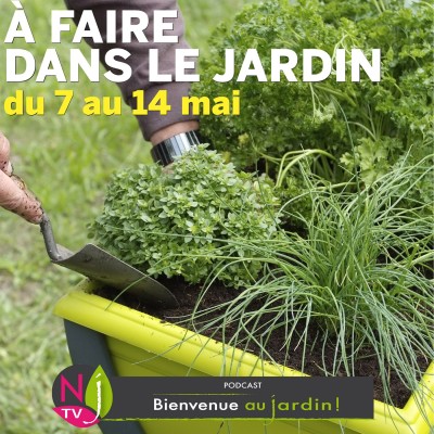 QUE FAIRE DANS LE JARDIN DU 7 AU 14 MAI ? cover