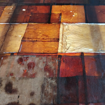 Alchimia Nova à la Kunsthalle Mulhouse cover